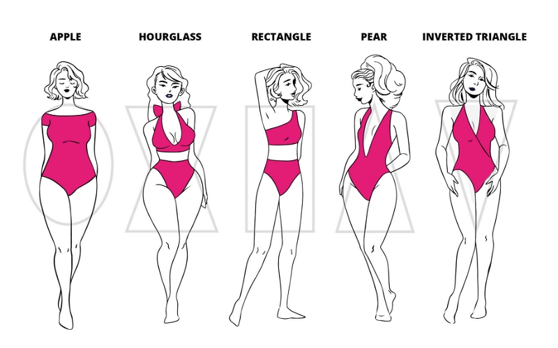 bikini body type guide